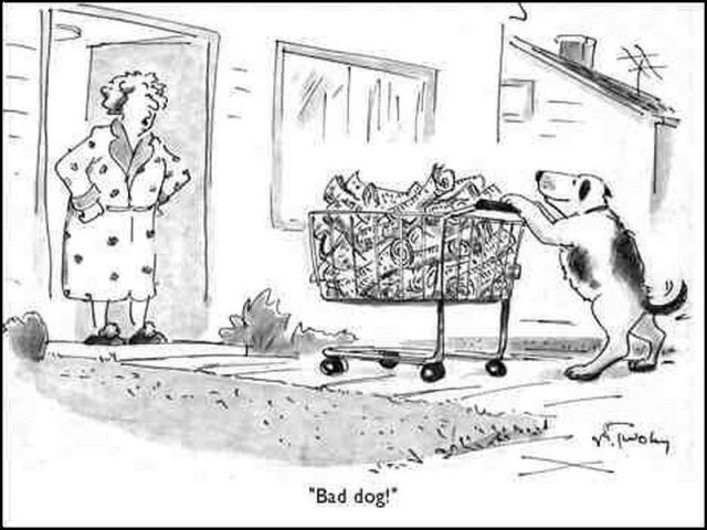 New Funny Collection of Cartoons