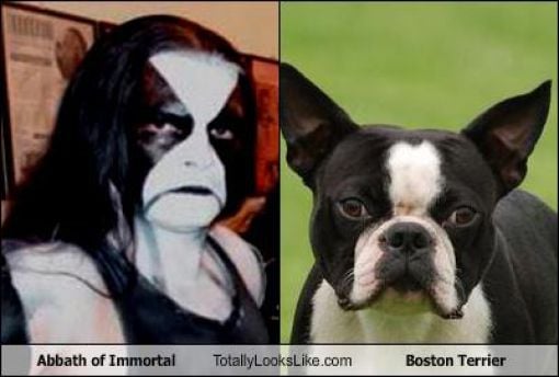 Funny Look Alikes. Part 5
