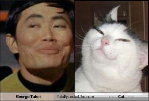 Funny Look Alikes. Part 5