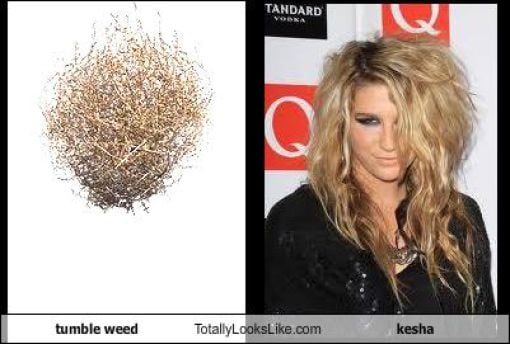 Funny Look Alikes. Part 5