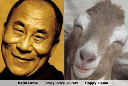 Funny Look Alikes. Part 5