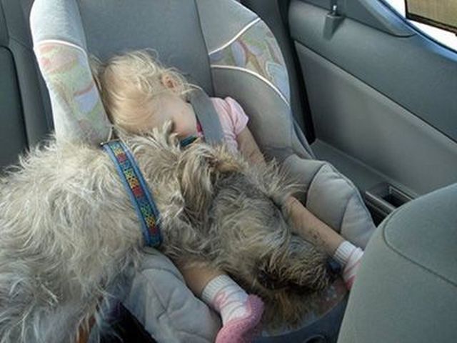 Daily picdump [WEEKEND EDITION]