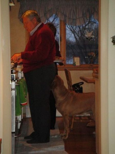 Daily picdump [WEEKEND EDITION]