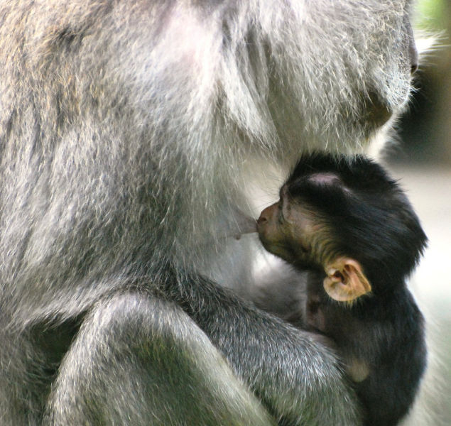 Daily picdump [WEEKEND EDITION]