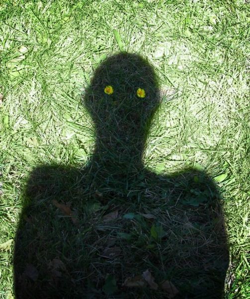 Some Very Creative Shadows