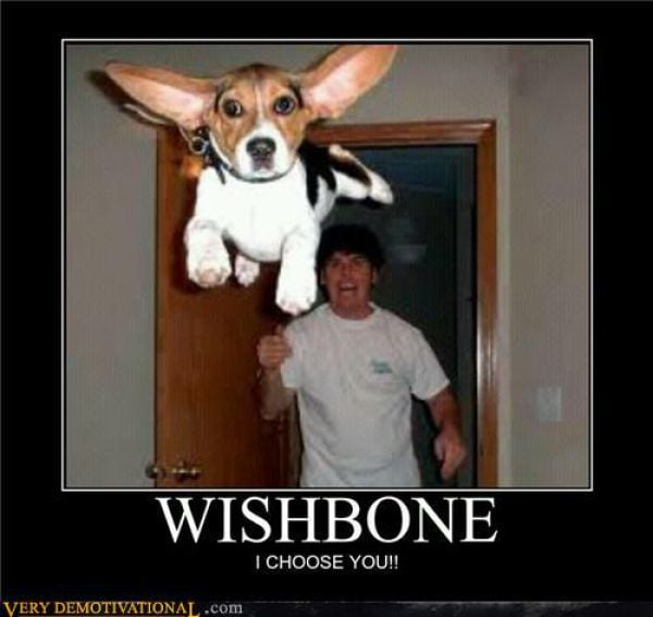 Funny Demotivational Posters. Part 25