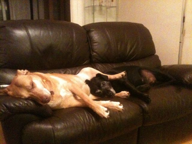 Daily picdump [WEEKEND EDITION]