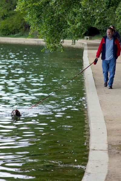 Daily picdump [WEEKEND EDITION]