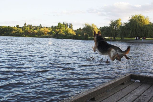 Daily picdump [WEEKEND EDITION]