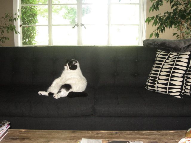 Daily picdump [WEEKEND EDITION]