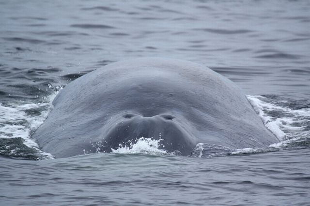 Daily picdump [WEEKEND EDITION]