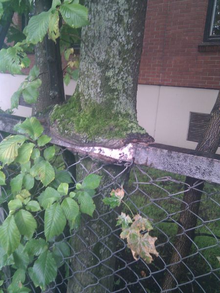 Daily picdump [WEEKEND EDITION]