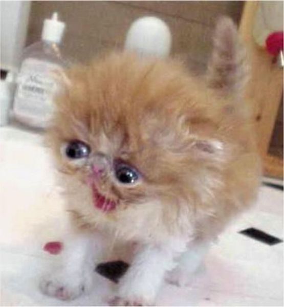 Daily picdump [WEEKEND EDITION]