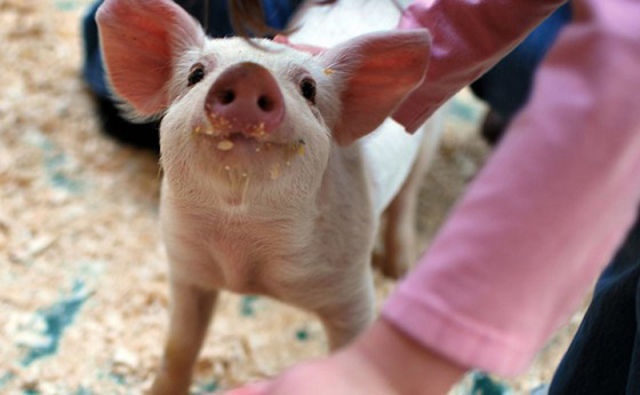 Daily picdump [WEEKEND EDITION]