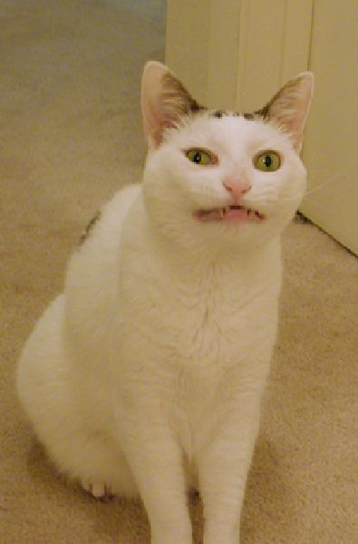 Daily picdump [WEEKEND EDITION]