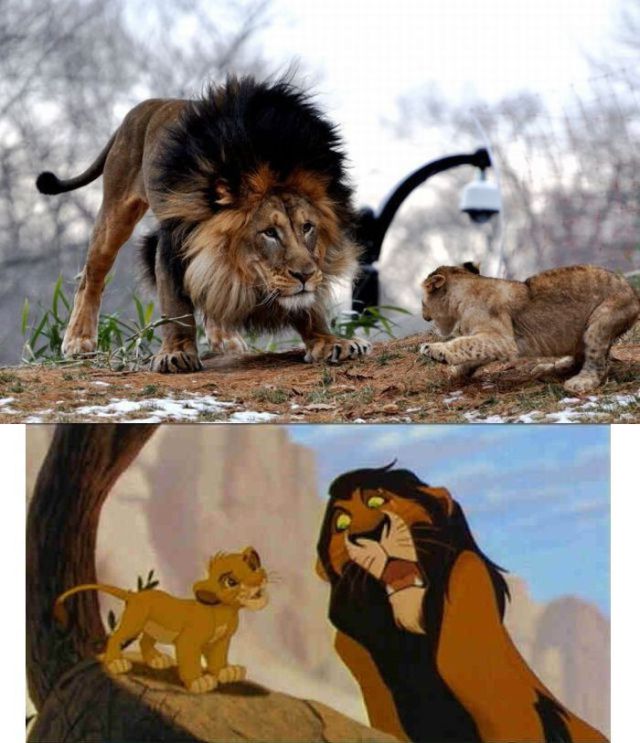 Daily picdump [WEEKEND EDITION]