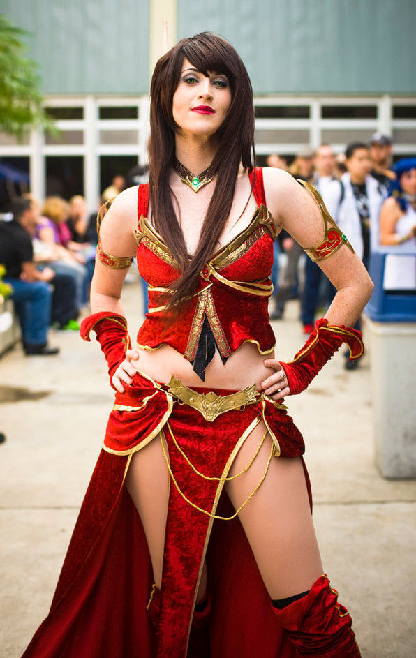 Incredible 2011 Blizzcon Attendees Costumes