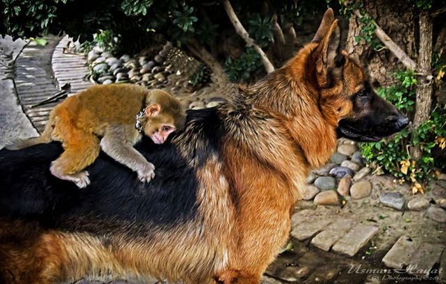 Daily Picdump [WEEKEND EDITION]