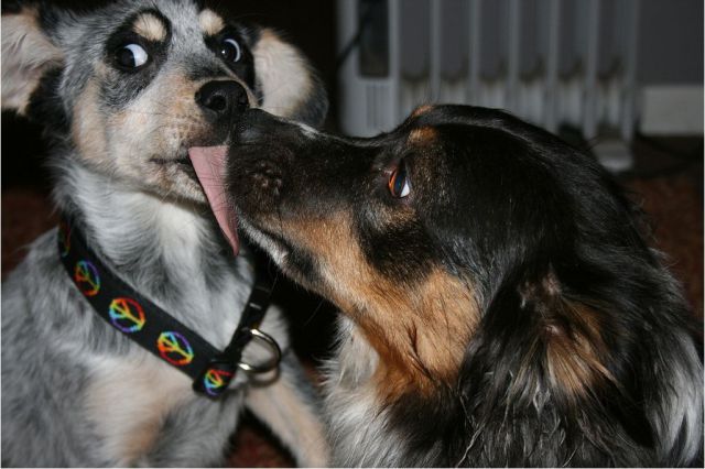 Daily Picdump [WEEKEND EDITION]