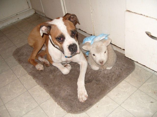 Daily Picdump [WEEKEND EDITION]