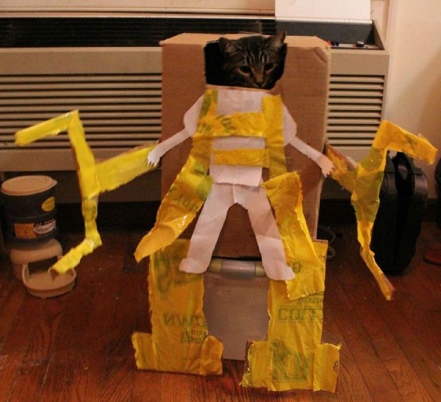 Daily Picdump [WEEKEND EDITION]