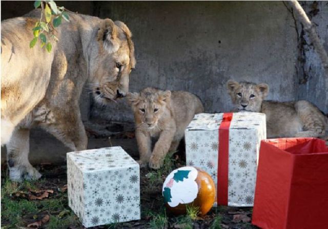 Daily Picdump [WEEKEND EDITION]