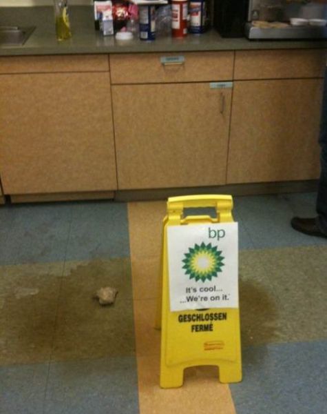 Daily Picdump [Visitors