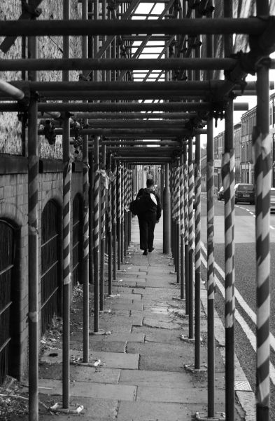 Daily Picdump [Visitors