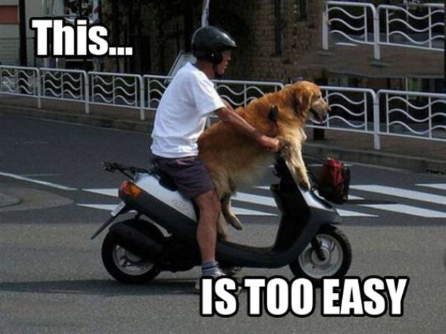 Funny Word and Pic Combos