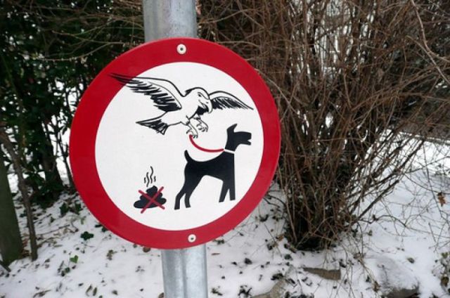 Hilarious Road Signs. Part 2