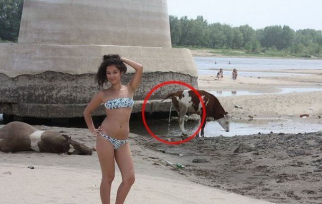 The Most Ridiculous Bikini Photos Ever