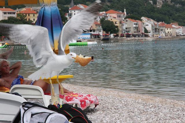 This Is Why Beaches Suck