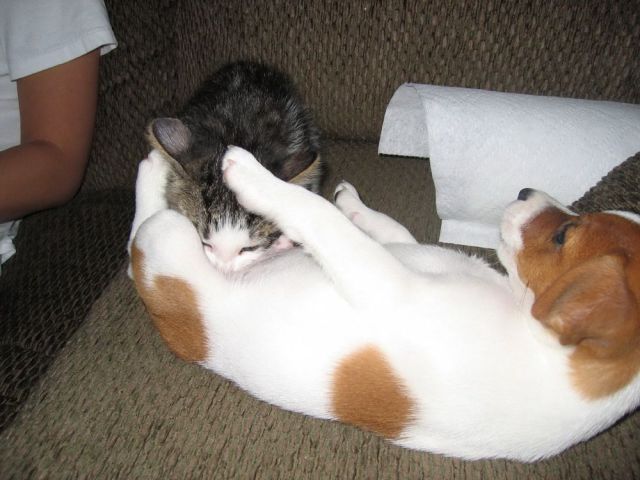 Daily Picdump [WEEKEND EDITION]