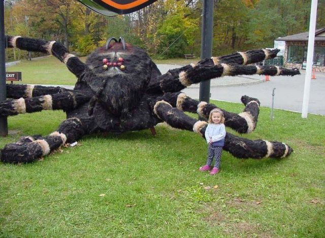 Daily Picdump [WEEKEND EDITION]