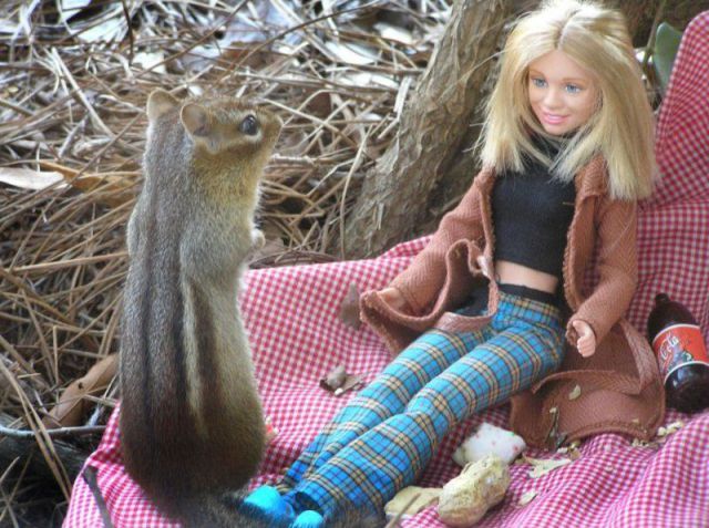 Daily Picdump [WEEKEND EDITION]