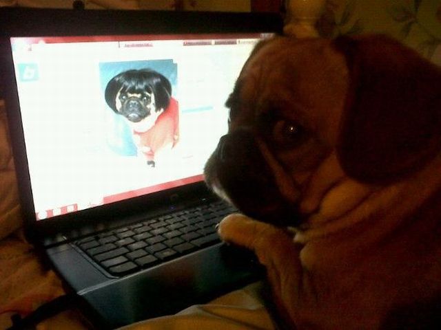 Daily Picdump [WEEKEND EDITION]