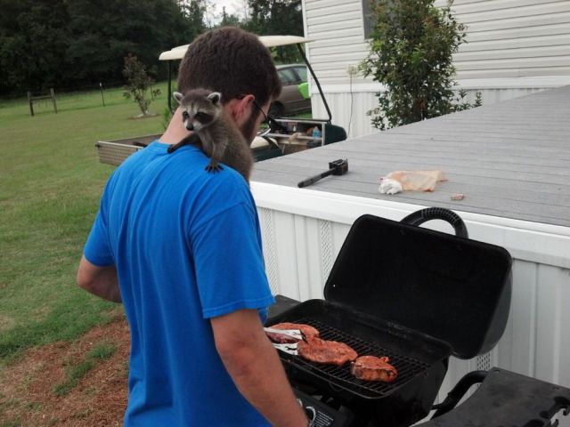 Daily Picdump [WEEKEND EDITION]