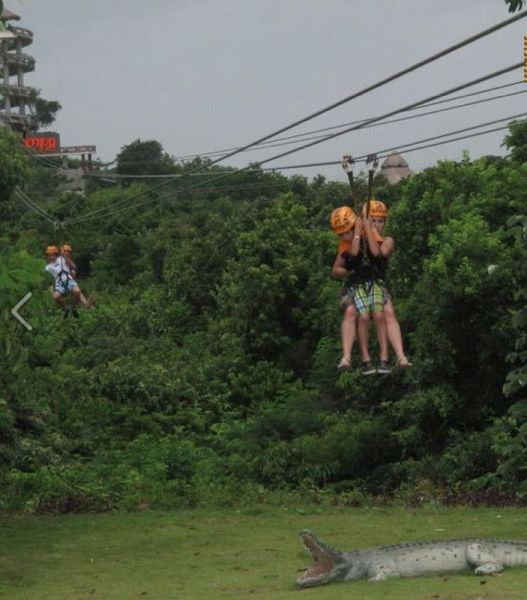 Daily Picdump [WEEKEND EDITION]