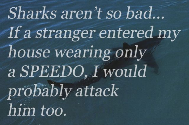 Funny and Wise Quotes