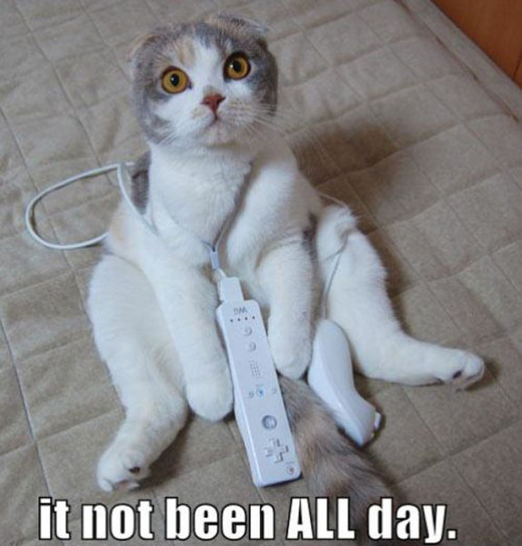 That Funny World of Gaming