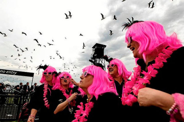 Melbourne Cup Chaos!