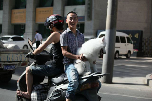 Enter the Friendzone. Part 2