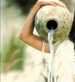 Some of the Foxiest Animations of Megan