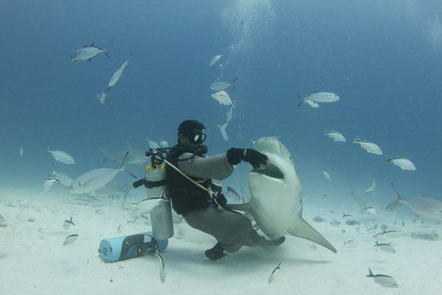 It’s More Than Just a Photo. Part 18