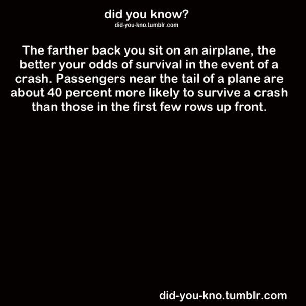 Fascinating Trivia That’s Good to Know