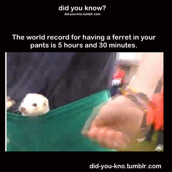 Fascinating Trivia That’s Good to Know