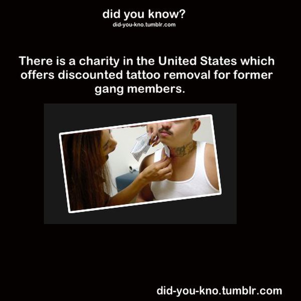 Fascinating Trivia That’s Good to Know