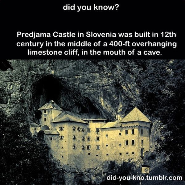 Fascinating Trivia That’s Good to Know