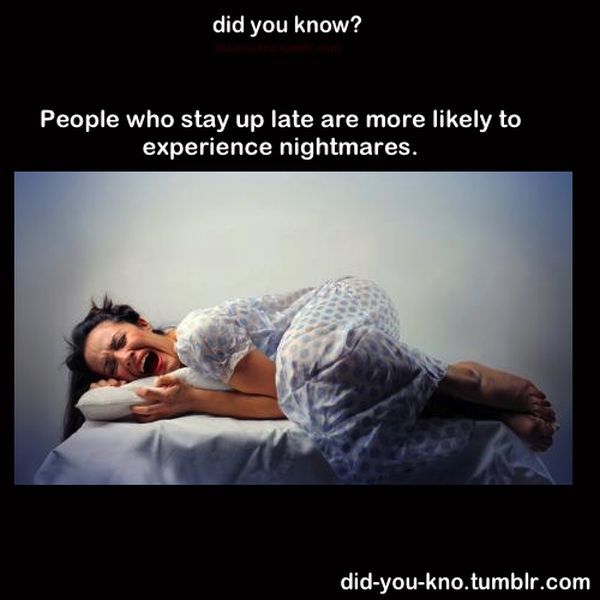 Fascinating Trivia That’s Good to Know