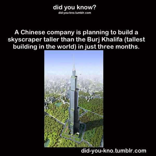 Fascinating Trivia That’s Good to Know